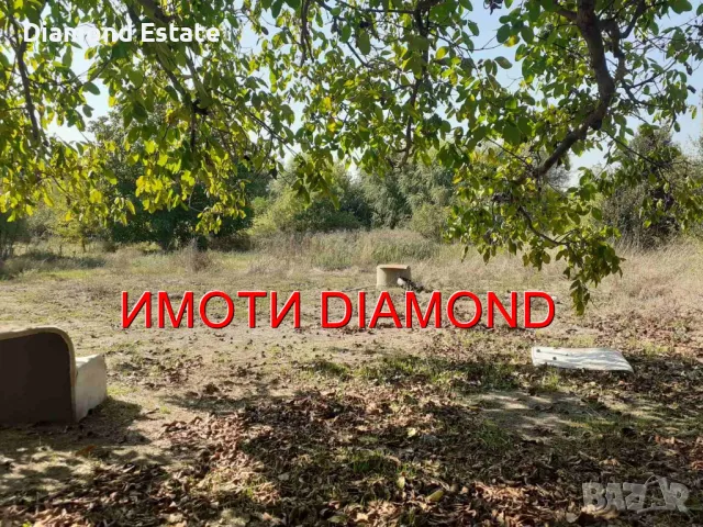 Къща в село Дряново общ. Симеоновград, снимка 4 - Къщи - 47299566