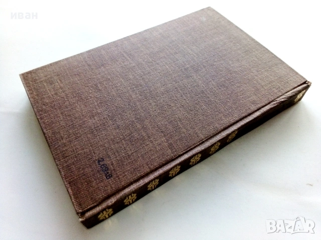 Баскервилското куче - Артър Конан Дойл - 1980г., снимка 2 - Художествена литература - 53413169