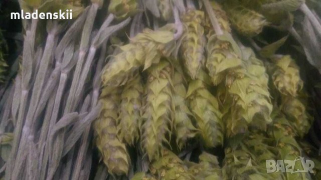 МуРсАлСкИ ЧаЙ, снимка 3 - Домашни продукти - 28503909