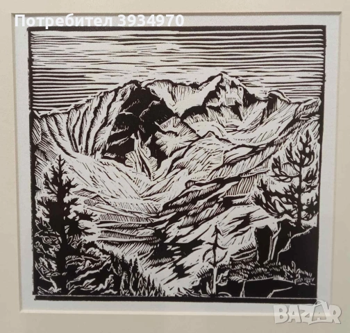 Картина Зафир Йончев, снимка 2 - Картини - 53266054