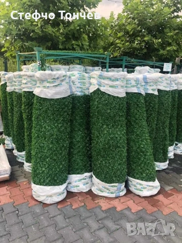 Декоративна мрежа - Жив плет. Най-добри цени - високо качество!, снимка 12 - Градински мебели, декорация  - 53467805