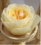 Голямо цвете тип роза божур силиконов молд форма фондан, гипс смола свещ гипс шоколад декор украса, снимка 3