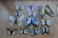 3Д пеперуди за декорация, снимка 6