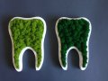 Подарък - За зъболекар и зъботехник - зъб със скандинавски мъх, снимка 4