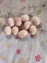Продавам Домашни Оплодени Яйца от ШАБО, снимка 5