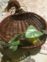дървена панерка, снимка 2