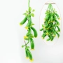 6089 Изкуствени корнишони на връзка декоративни краставици, 60 см, снимка 1