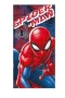 Плажни кърпи или за баня модел “ SpiderMan ” , снимка 1