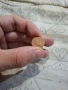 1 cent Euro, снимка 3