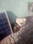 соларна ситема 24 вота + упс 360 вата, снимка 5