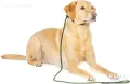 Fenrir Slip Leash 1,4 м с пружинен стопер (зелен), снимка 1