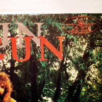 грамофонна плоча, LP, Vinyl - The Gun, снимка 11 - Грамофонни плочи - 32685054