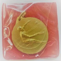 Италиански медали тенис Генуа 1975, оригинален калъф, снимка 1 - Антикварни и старинни предмети - 38955927