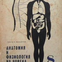 Анатомия и физиология на човека за 8. клac Георги К. Налбантов, снимка 1 - Учебници, учебни тетрадки - 28222966