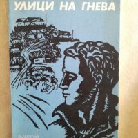 Улици на гнева - Антон Антонов - Тонич, снимка 1 - Художествена литература - 27192227