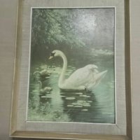 Продавам картина Лебед, снимка 1 - Картини - 27781679