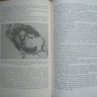 Клиническая цитология. М. Г. Абрамов 1962 г., снимка 4 - Специализирана литература - 26269444