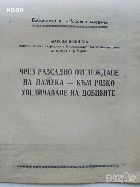 Чрез разсадно отглеждане на памука - към рязко увеличаване на добивите - М.Божинов., снимка 1