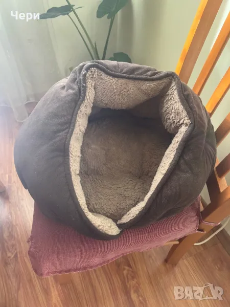 Легло за дребно кученце, снимка 1