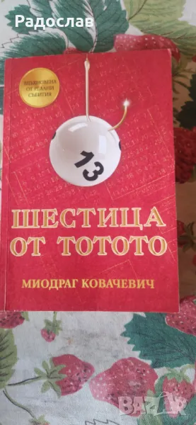 Миодраг Ковачевич ,, Шестица от тотото " , снимка 1