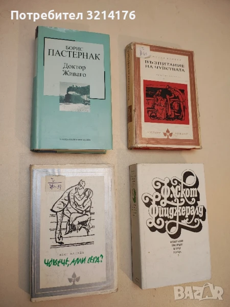 Човече, ами сега? - Ханс Фалада, снимка 1