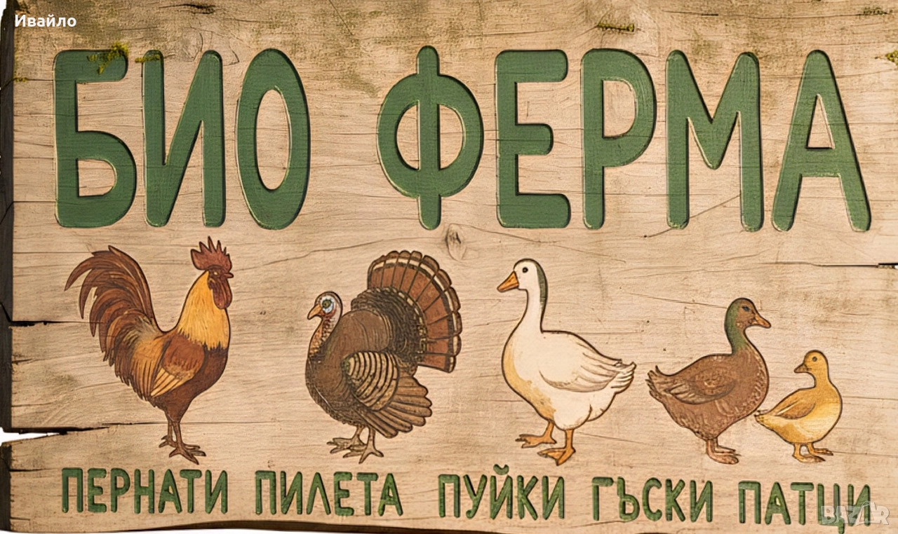 САМО СЕГА !!!ПОСЛЕДНИ БРОЙКИ!!! ПУЙКИ ГЪСКИ И ПАТИЦИ, снимка 1