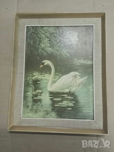 Продавам картина Лебед, снимка 1