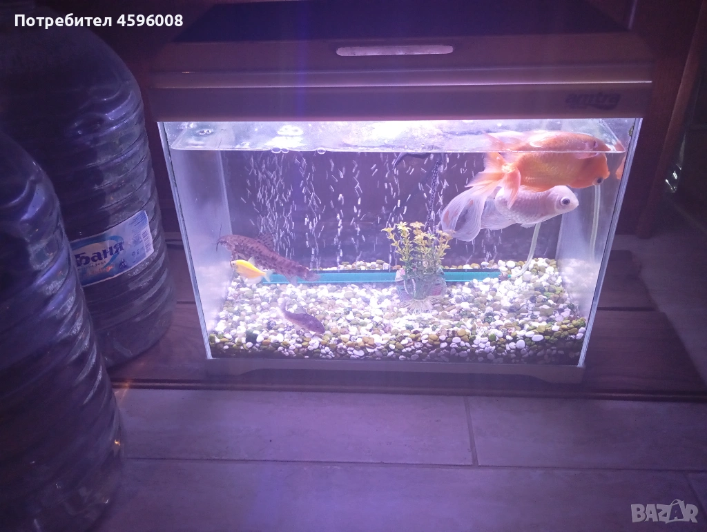 Продавам аквариум amtra modern tank, снимка 1