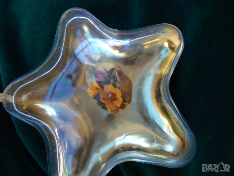 морска звезда, снимка 1