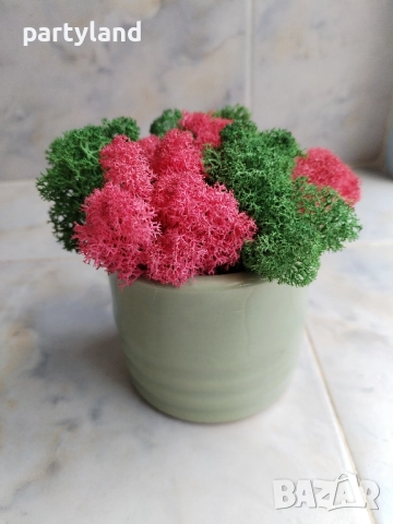Скандинавски мъх декорация оригинален подарък, снимка 3 - Декорация за дома - 51985982
