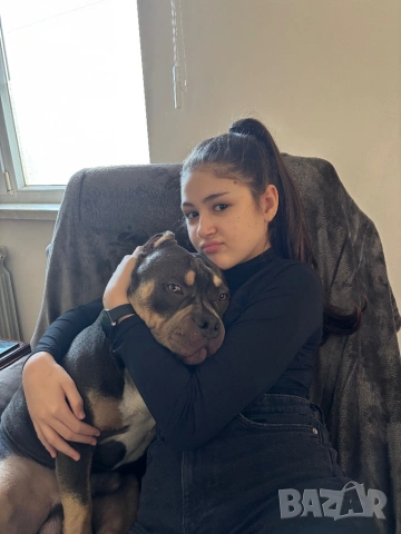 Американско Були , снимка 9 - Други - 52643138