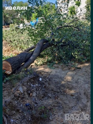 рязане на дървета, храсти, косене на треви, фрезоване , снимка 11 - Други услуги - 43562142