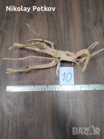 Корени за аквариум, терариум, паладиум , снимка 10 - Аквариуми - 44083269