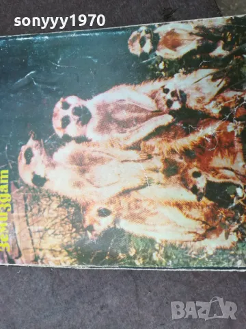 СРЕД ЖИВОТНИТЕ НА АФРИКА 1102250612, снимка 5 - Други - 49071141