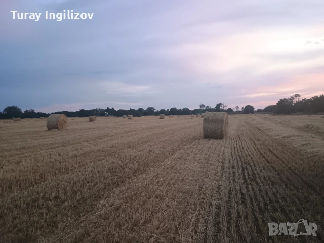 Слама размер на бала 120×150, снимка 3 - Други - 53453855