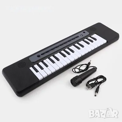 Детска йоника с микрофон 