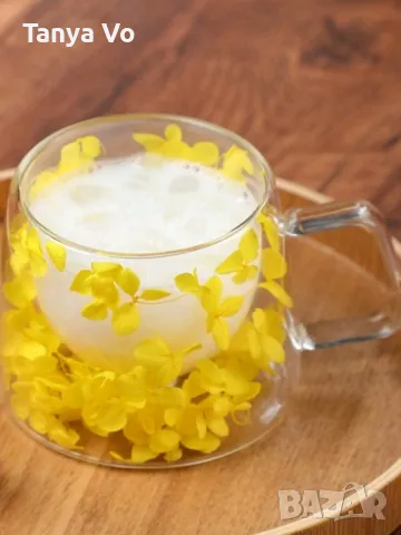 Стъклена Термо Чаша Двойно Дъно и Естествени Сухи Цветя , снимка 2 - Чаши - 47923413