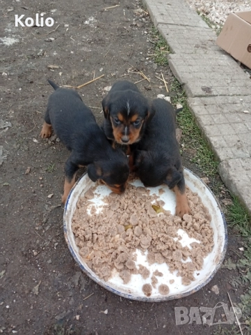 Малки кьосе барачета