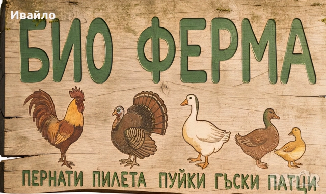 САМО СЕГА !!!ПОСЛЕДНИ БРОЙКИ!!! ПУЙКИ ГЪСКИ И ПАТИЦИ