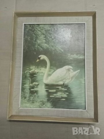 Продавам картина Лебед