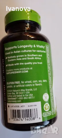 Готу Кола на Natures Way-180 капсули, снимка 3 - Хранителни добавки - 49092306