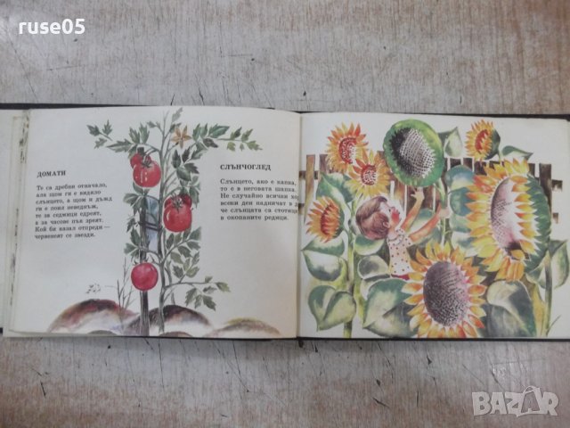 Книга "Моята градина - А. Платнер" - 16 стр., снимка 4 - Детски книжки - 37792029