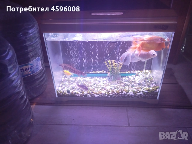 Продавам аквариум amtra modern tank