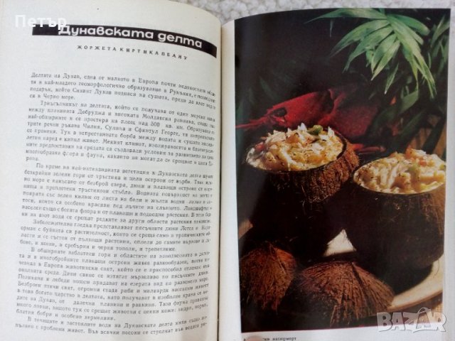 Спектър от 1974г.Научен алманах, снимка 2 - Енциклопедии, справочници - 35607454