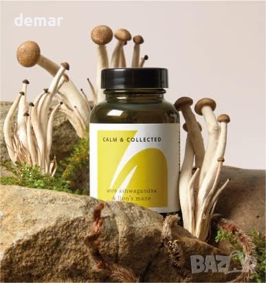 The Herbtender, Calm & Collected Веганска добавка с ашваганда и лъвска грива за отпускане - 60 бр., снимка 2 - Хранителни добавки - 43575638