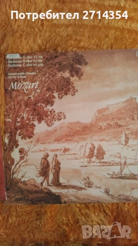Плочи класическа музика , снимка 3 - Грамофонни плочи - 50461925