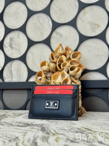 визитници chloe Moncler coach fendi louis vuitton 