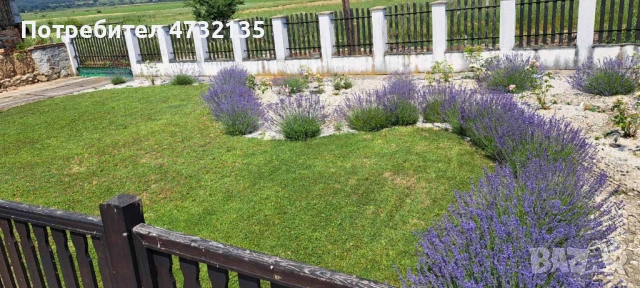 Къща от собственик с. Красново , снимка 18 - Къщи - 53404487