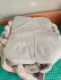 Мултифункционално Бебешко гнездо, с възглавница, Coccoo Bebe, сиво, 81 x 59 см

, снимка 4