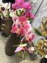 Клонка цвят от Орхидея, снимка 5